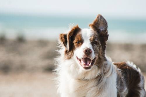 Unsplash U3aF7hgUSrk